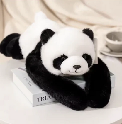 Imperial Plush Collection: The Royal Sanctuary Series